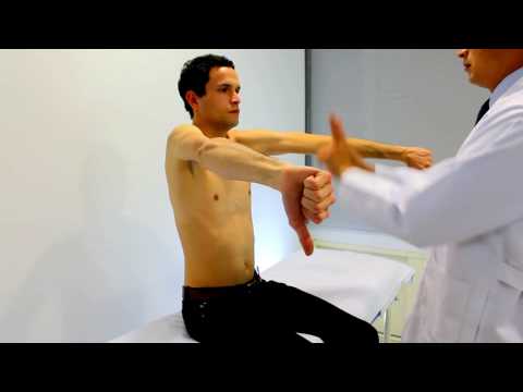 Prueba de Jobe - Jobe test -  Empty CAN test