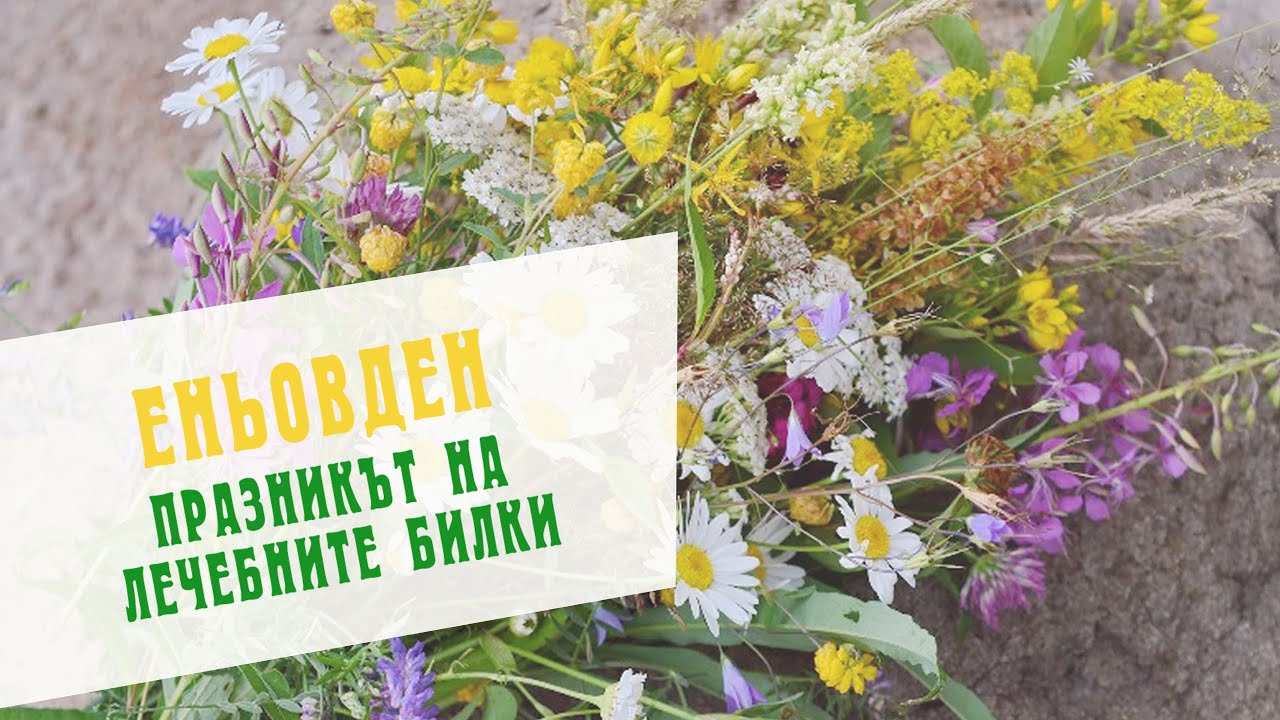 Enyovden - The Feast of Medicinal Herbs - Video