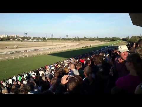 Opium Bullet első versenye, célegyenes, Kincsem Park,2013.09.01.