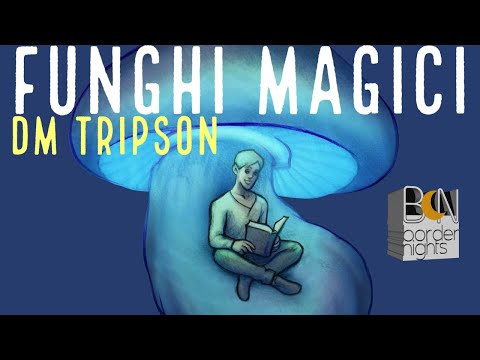 FUNGHI MAGICI: COSA SONO, GLI EFFETTI SULLA MENTE, I RISCHI - DM TRIPSON