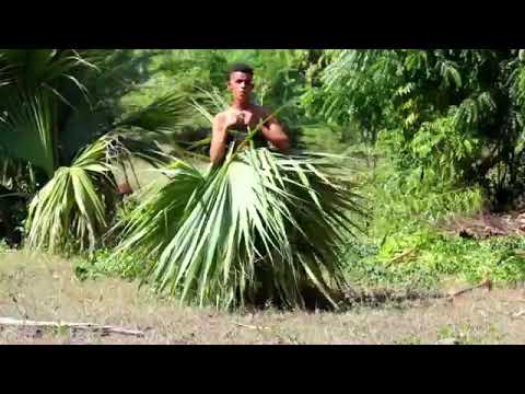 La pajarita la paul - Viven ablando