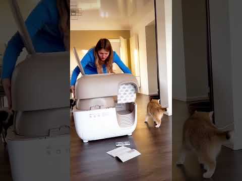 Super cool, right?🤩 #catlove #cats #cat #catmom #catmama