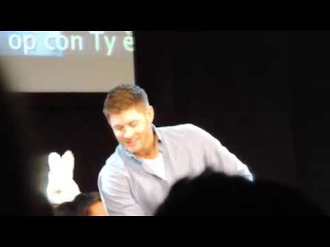 JIB5 - Jensen and the Misha rabbit