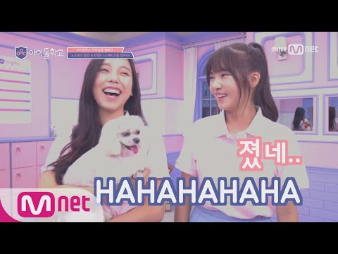 Idol School [아이돌학교X옥션]♪노즈워크 훈련 프로젝트 '스테이크를 찾아라' @반려동물캠페인 김나연,노지선,신시아,이다희 170817 EP.5