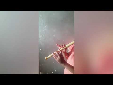 #Beethoven#**ode  to fly**🎵flute/hymne  à  la  joie 🎵🎵/flûte  à  bec