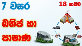 Grade 07 Science lessons in Sinhala   Unit 18  7 �