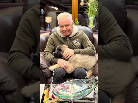 Welcome to the New Year/Tomek, Batyr and Duś.