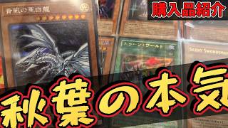 【#遊戯王 】「世界よ、これがアキバの実力だ。」良いカードたくさん買ってきた！【#遊戯王ocg 】