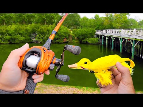 Fishing a Duck Lure for Pond MONSTERS!