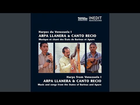 Pajarillo de mi tierra (joropo corrido)