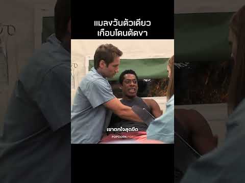 แมลงวันตัวเดียวเกือบโดนตัดขา #รีวิวหนัง #movie #สปอยหนัง