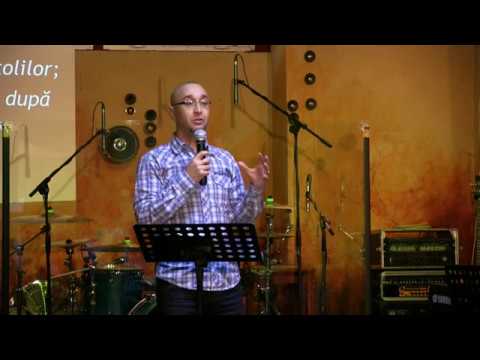 Sorin Zanfir - Darnicia