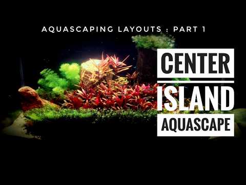 Island aquascape |The story & Inspiration| Planted Aquarium layout series part 1| Red plants