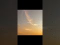 Zaya Sapne Hai Zaya Apne Hai Zaya Meri Har Khushi Hai Sajde Song