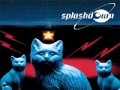 Splashdown - A Charming Spell 