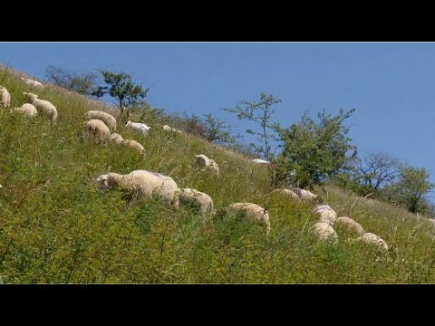 NDR Nordtour unterwegs - Heeseberg