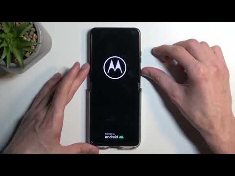 How to Enter the Recovery Mode on MOTOROLA Razr 40 Ultra - Factory Reset & Wipe Cache Partition