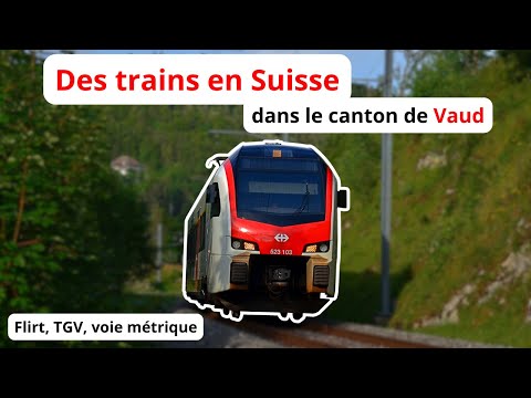 Des trains en Suisse 🇨🇭🚞 | Flirt, TGV, voie métrique dans le Canton de Vaud