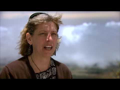 Uranus And Neptune | A Travellers Guide To Planet