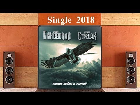 Быковский/Страйк - Между небом и землей (2018) (Heavy Metal)