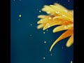 Athmavile Anandhame Song Whatsapp Status