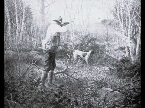 "Frank Woolner: A Love Affair with Grouse" -- William G. Tapply