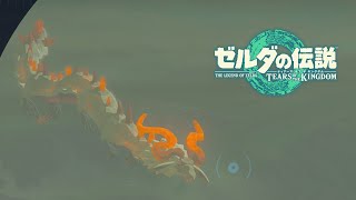 ゼルダ、、、君は一体どこにいるんだい。【＃１８】【ゼルダの伝説 ティアーズ オブ ザ キングダム】