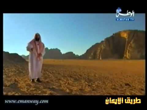 قصص الأنبياء _ سيدنا إبراهيم عليه السلام و إحياء الطيور