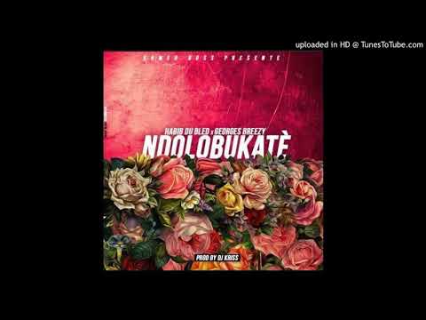Habib du Bled - Ndolo Bukatè feat. Georges Breezy [Produced by Dj KRISS]