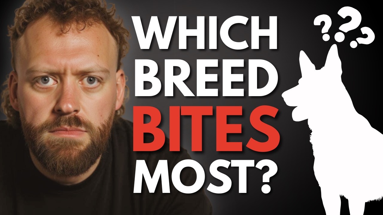 The Dog Breeds That Have Tried to Bite Me Most
