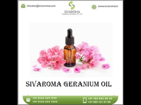 1/2 Kg Geranium Essential Oil