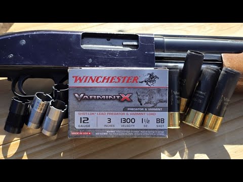 What's The Best Choke? Winchester Varmint X 12ga 3" 1-1/2oz BB Pattern Testing W/ Mossberg 500