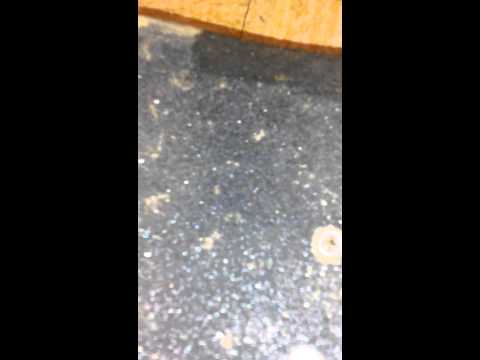 comment nettoyer skateboard