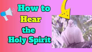 Download lagu How to Hear the Holy Spirit ✨ David Hoffmeister ACIM 💗 Getting to Know the Holy Spirit's Guidance mp3