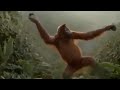 Monkey Sindhi Funny360p See This