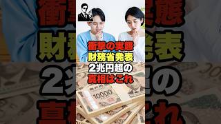 衝撃の実態財務省発表２兆円超の真相はこれ