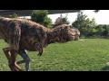 Baby T-Rex Takes Over Brooklyn Bridge Park