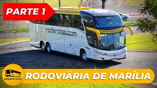 DIVERSAS EMPRESAS OPERANDO! Movimento na RODOVIÁRIA de MARÍLIA! [PARTE 1] #onibus