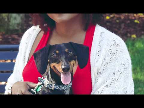 Meet Maximus: Our Photoshoot