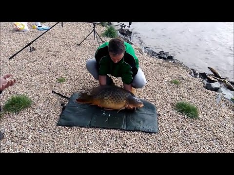 Карп сбежал от рыбака