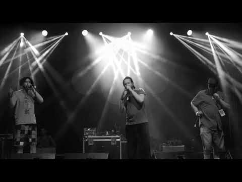 Ajs Nigrutin, Krivi Rastaman, Bičarke na Travi, Timjah - Kako je pijana