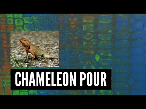 Chameleon Cells Acrylic Pour - Acrylic pour with silicone oil - Chameleon Pour Technique