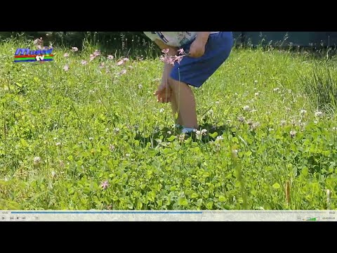 Jurnal MUSCEL TV 29.06.2021 S-au înmulțit cazurile de mușcături de căpușă