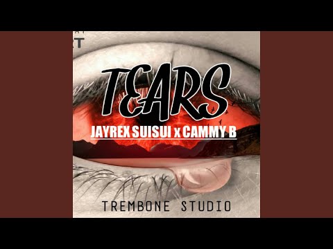 Tears (feat. Cammy Bee)