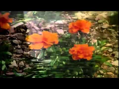 114. arthrn & rflc - 7 [28.02.2016]