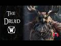 Warcraft The Druid