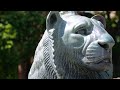 Cinematography Reel Bulgaria Burgas Oryahovo Plovdiv Sofia