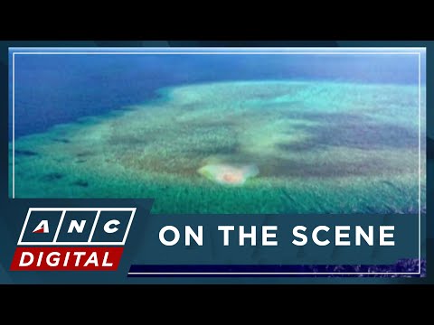 PH pledges to block China reclamation amid discovery of piles of corals in WPS shoal ANC