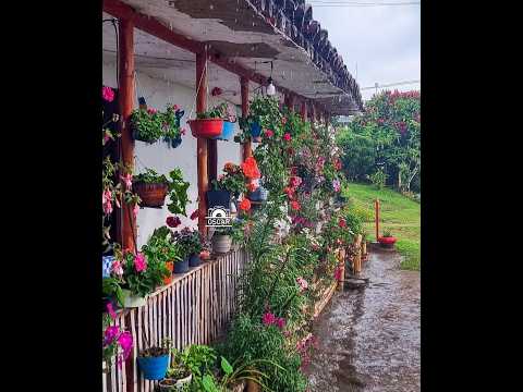 ☕ LO QUE CONSUMIMOS, LO QUE DEJAMOS Una reflexión ética sobre el café desde Chinchiná, Caldas.
