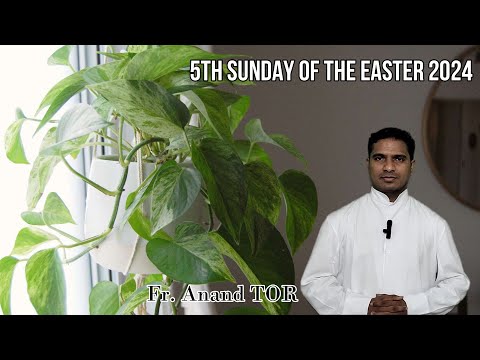 5th Easter Sunday Homily 2024